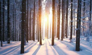 3'Lü Kar Keyfi Abant Kartepe Uludağ Turu