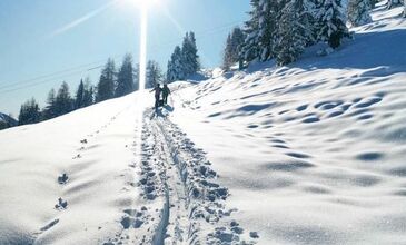3'Lü Kar Keyfi Abant Kartepe Uludağ Turu