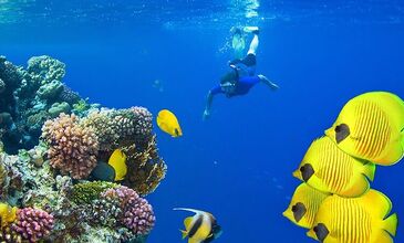 Sharm El Sheikh Turu Pegasus Havayolları ile 4 Gece Her Şey Dahil Oteller